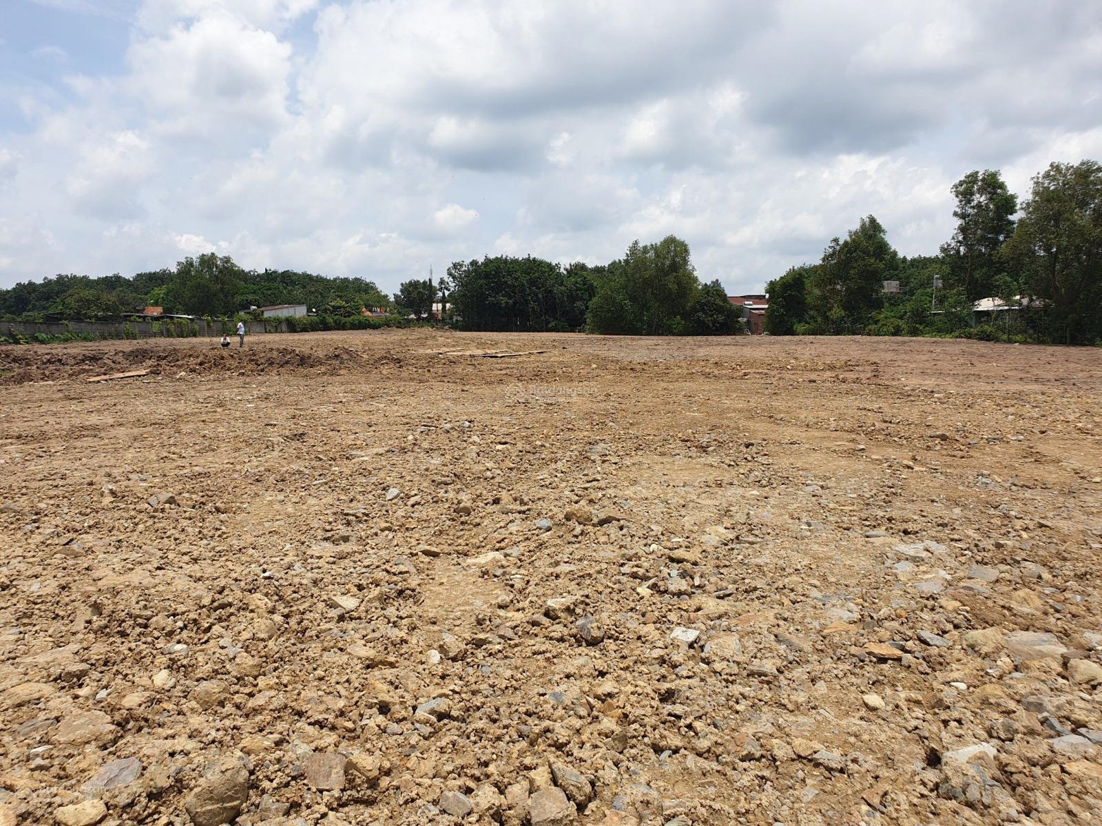 Bán đất Củ Chi, đất Xã Phú Hòa Đông DT 1ha giá 2,8tr/m2