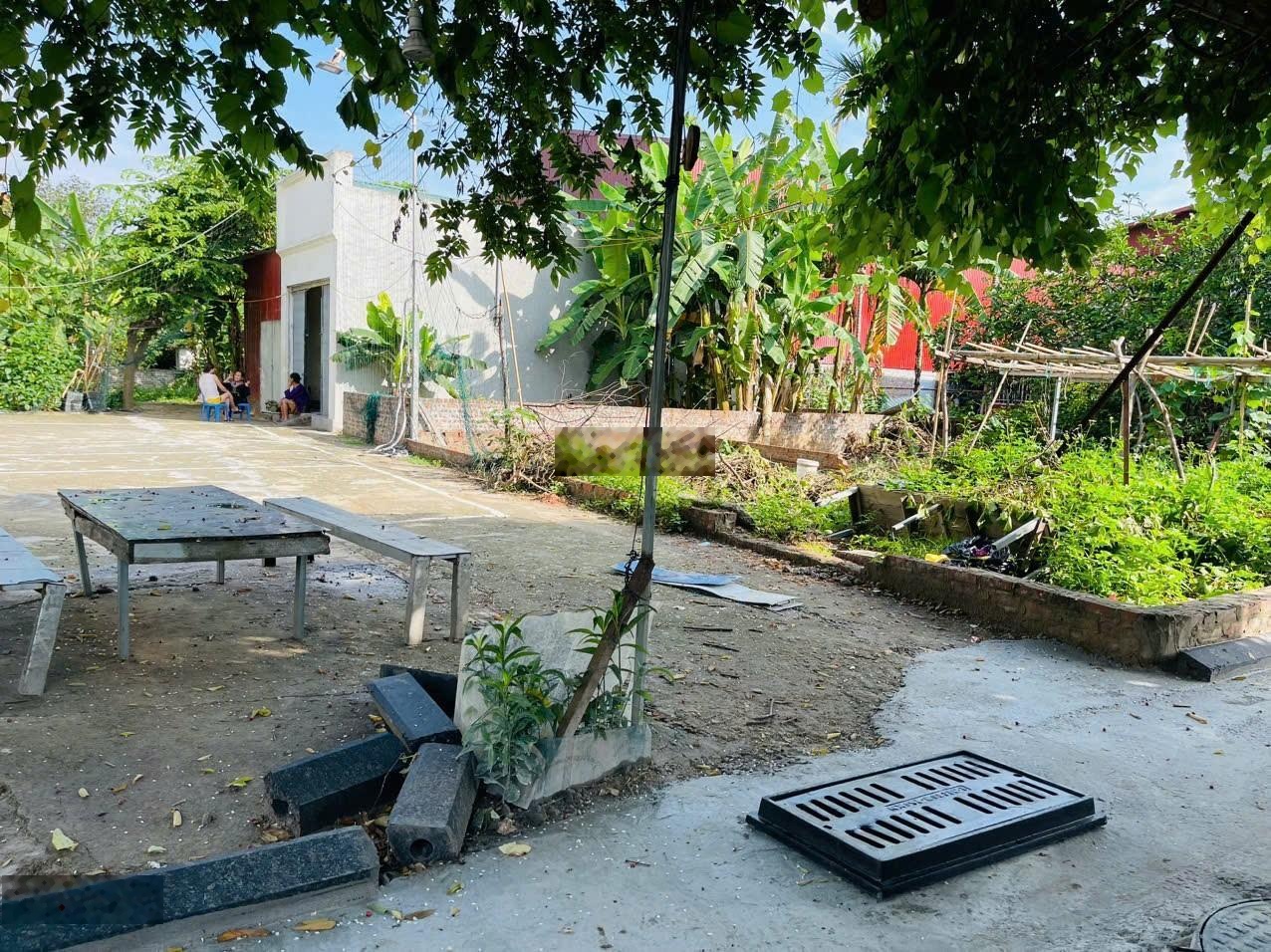 Tôi chính chủ cần bán gấp đất Mỹ Nội, Đông Anh, 45.8m2. Ngõ xe tải