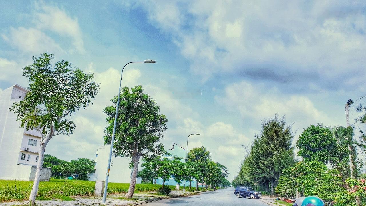 ảnh