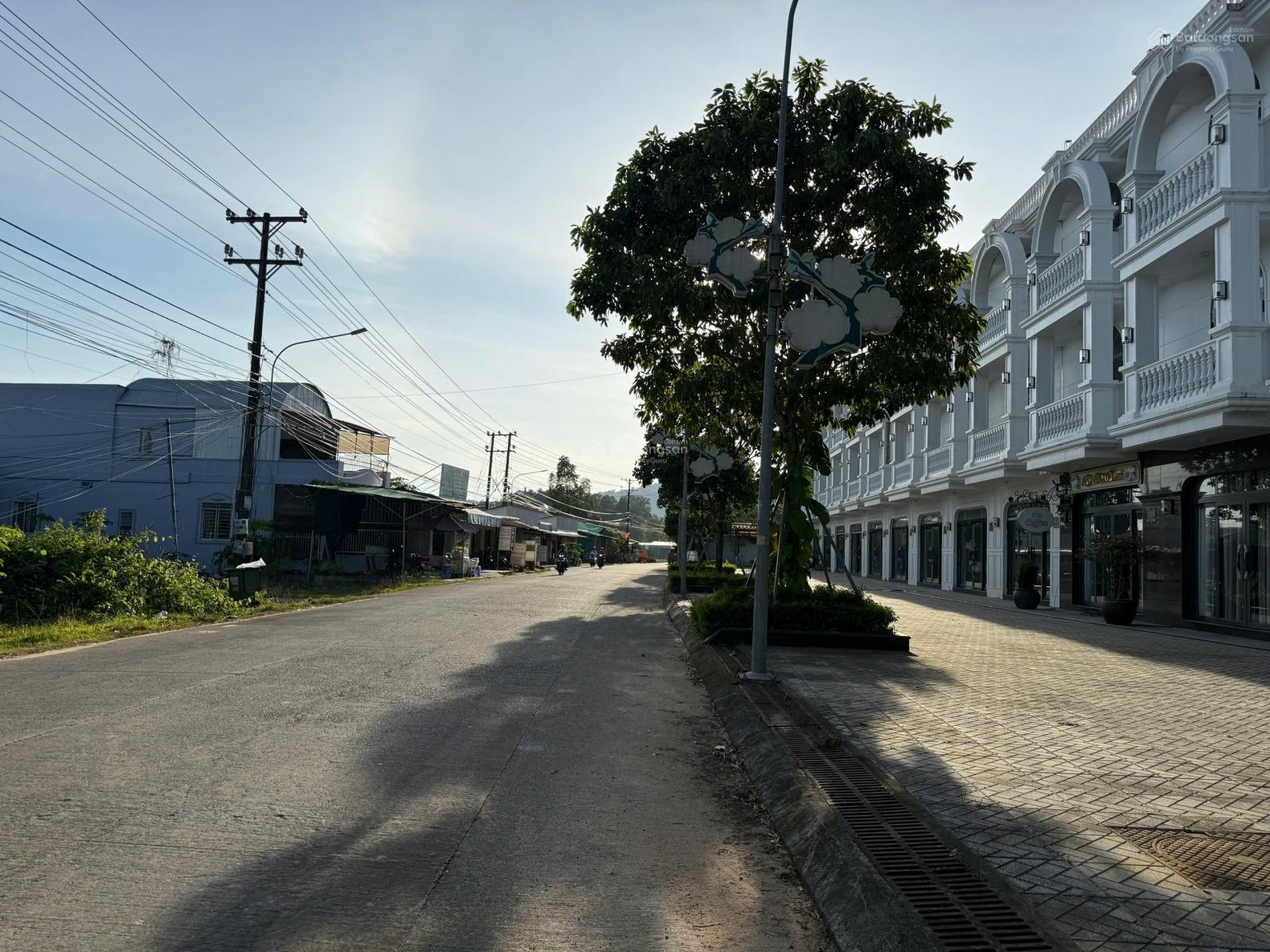 Bán 2 lô đất 1000m2 mặt tiền, ngay đầu đường Cây Thông Trong, đối diện dư án thương mại giá quá tốt