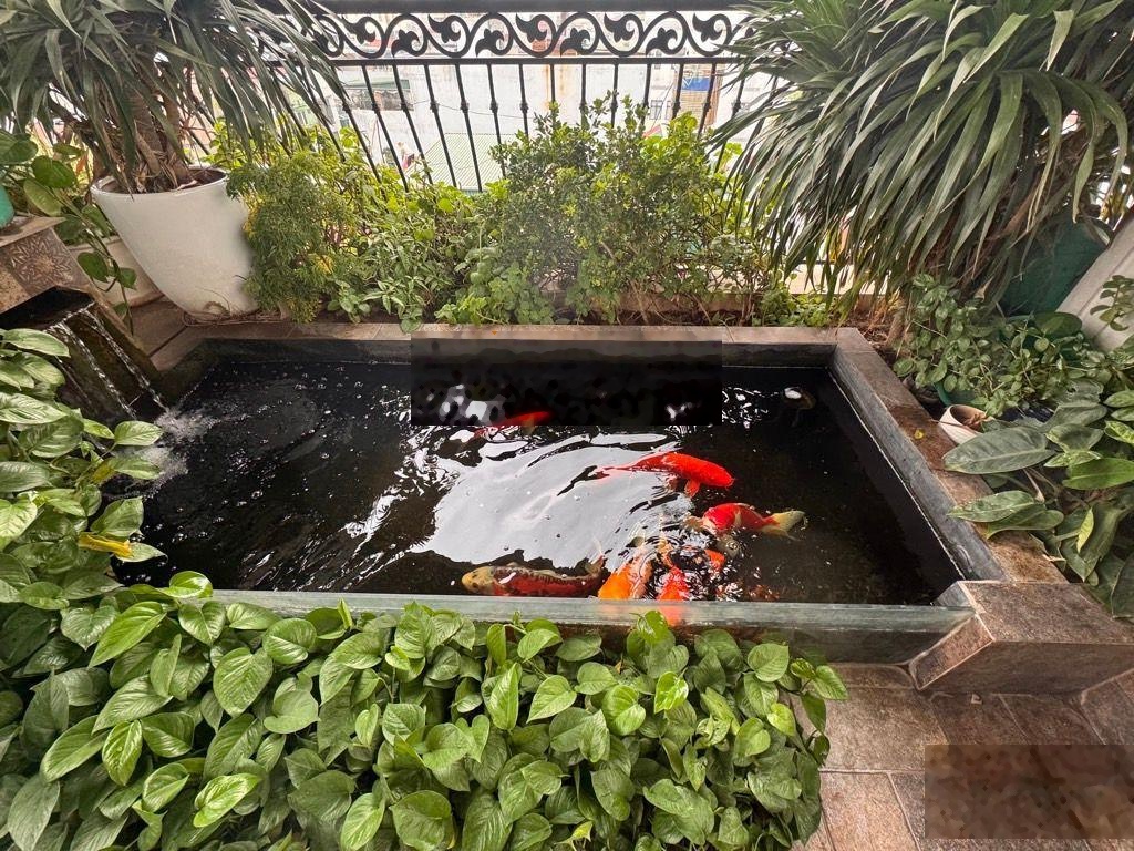 Bán nhà đẹp trương định trung tâm hoàng mai | 70m 7 tầng thang máy 750kg nội thất châu âu