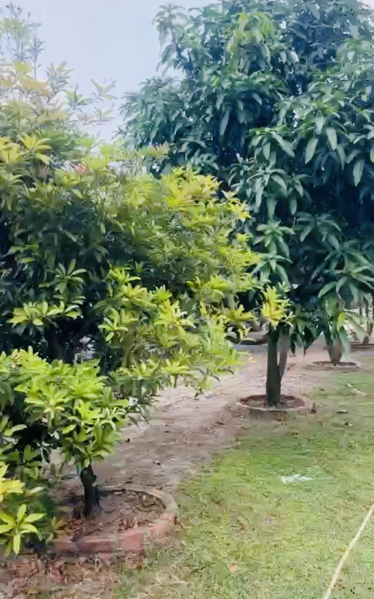 Bán nhà vườn MT nhựa Hưng Long, Bình Chánh | 1.000m2 giá 5,8 tỷ