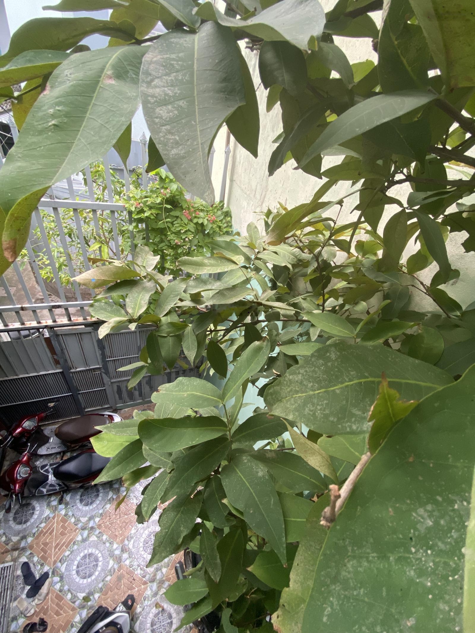 Cho thuê phòng trọ full nội thất, phường Gia Định, TP HCM