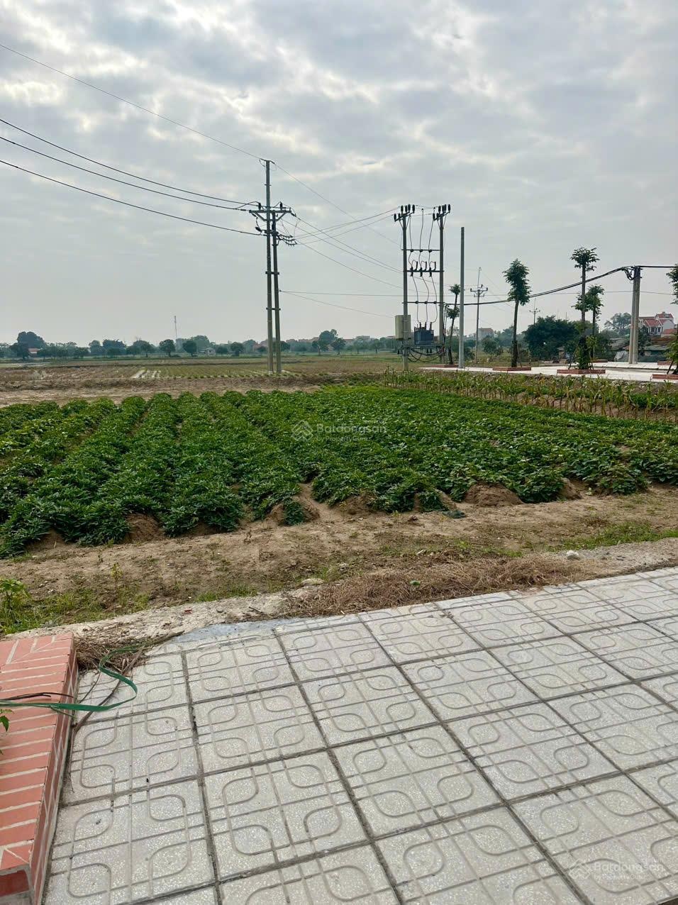 Chính Chủ Bán đất đấu giá Cống Đầm Mai Trang cực đẹp, Đại Xuyên Phú Xuyên