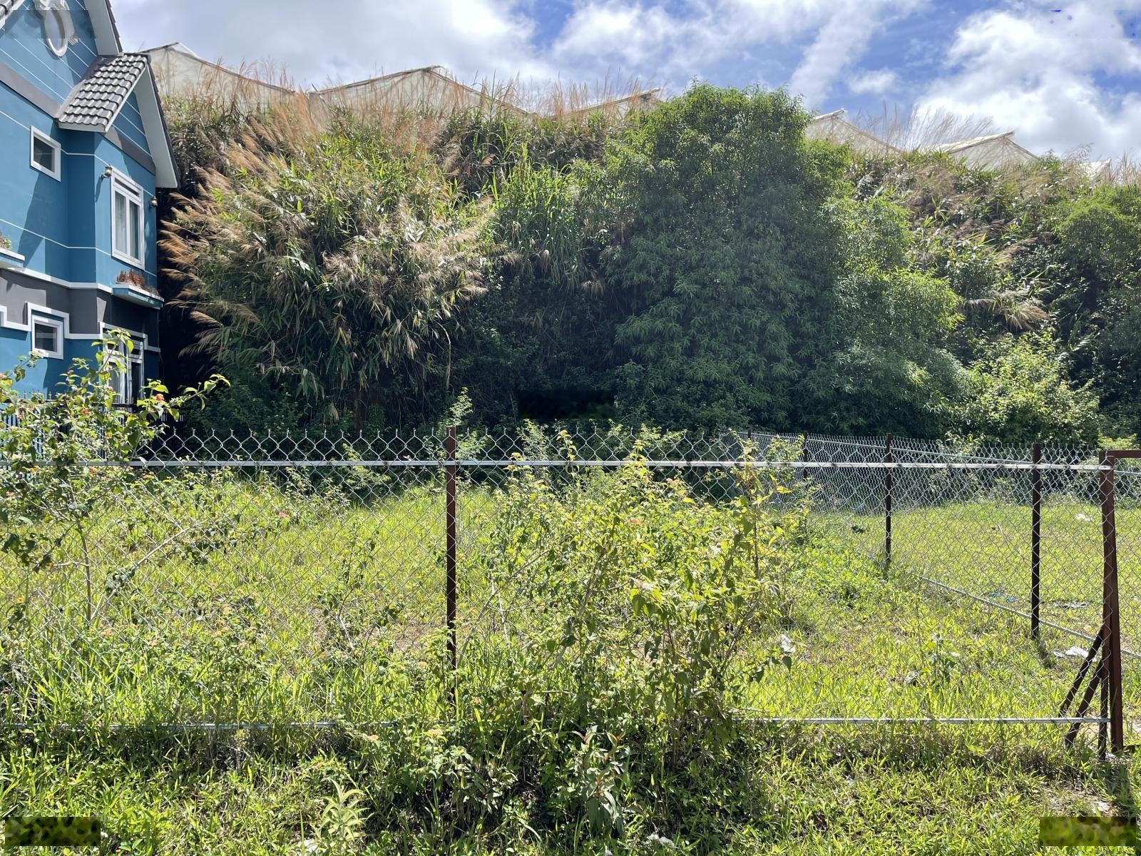 BÁN 235m vuông đất xây dựng khu biệt thự nghỉ dưỡng MĂNG LINE ĐÀ LẠT