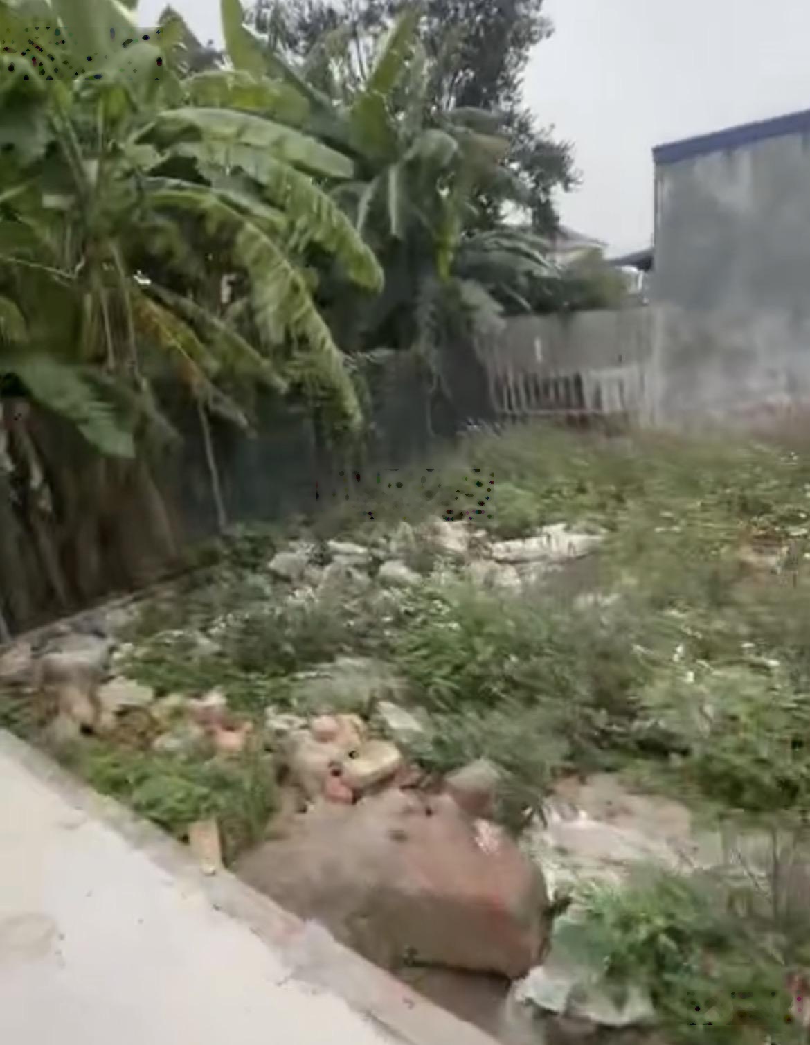 Bán đất 50m2 Tràng Duệ An Dương Hải Phòng