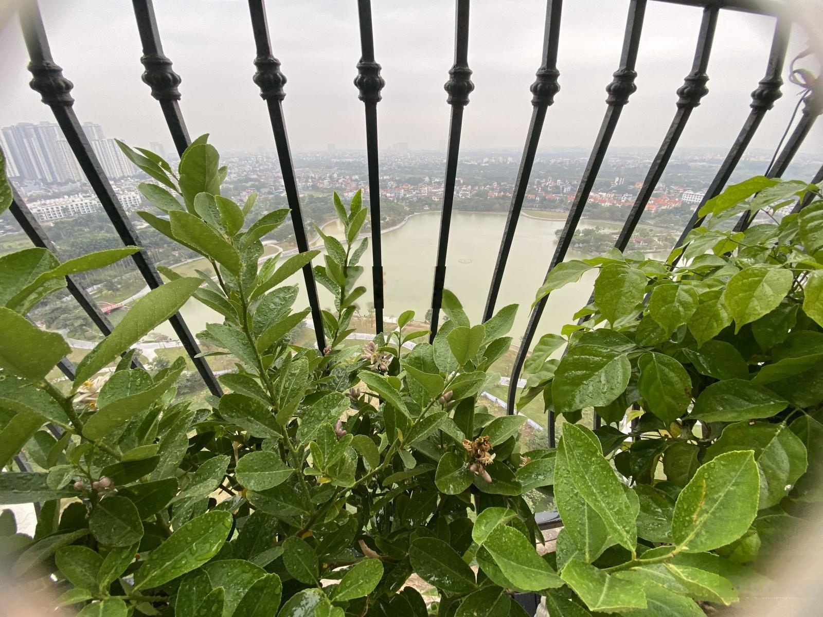 Chính chủ bán căn góc 120m - 3pn, view hồ điều hoà, ban công lớn, tầng cao toà a7 chung cư an bình