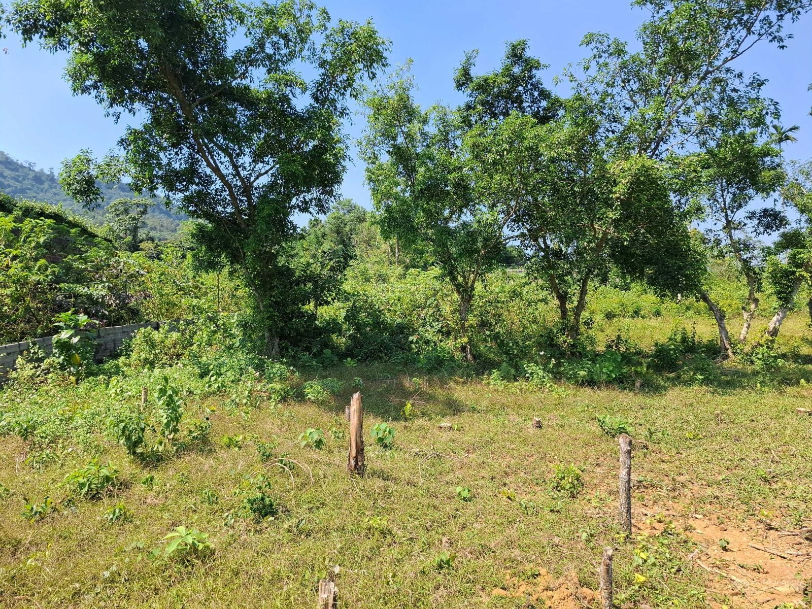 Bán lô đất nghỉ dưỡng Vân Hòa, Ba Vì DT 11.000m2, ngay cạnh khu du lịch Khoang Xanh, Paragon