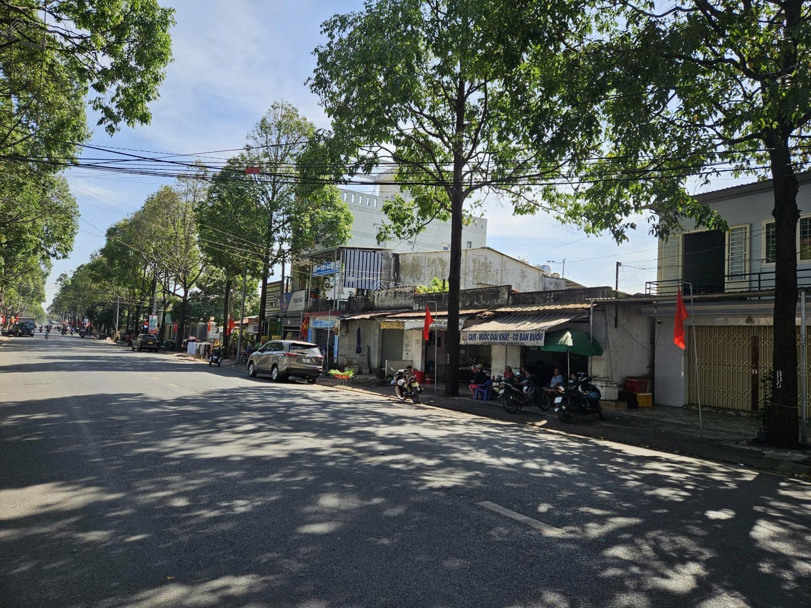 ảnh