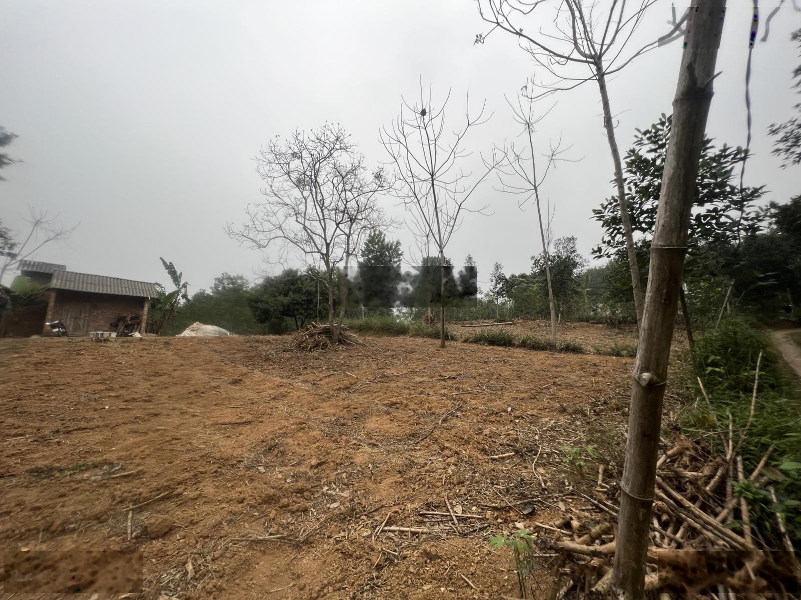 Bán đất Đồng Lương Cẩm Khê gần uỷ ban giá 4 tỷ, ~3500m2, liên hệ: 0965074589