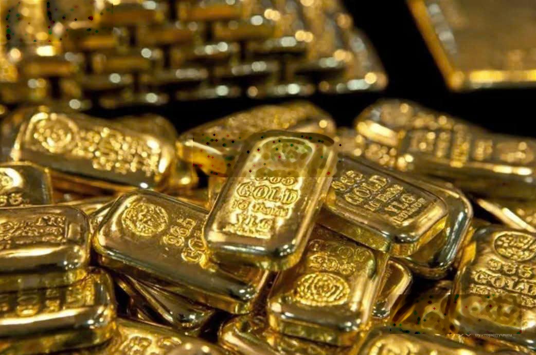 Độc quyền bán căn 1PN+ S60902843977 bao hết nhà mới CDT, T3 nhận nhà,view vườn nhật giá tốt nhất