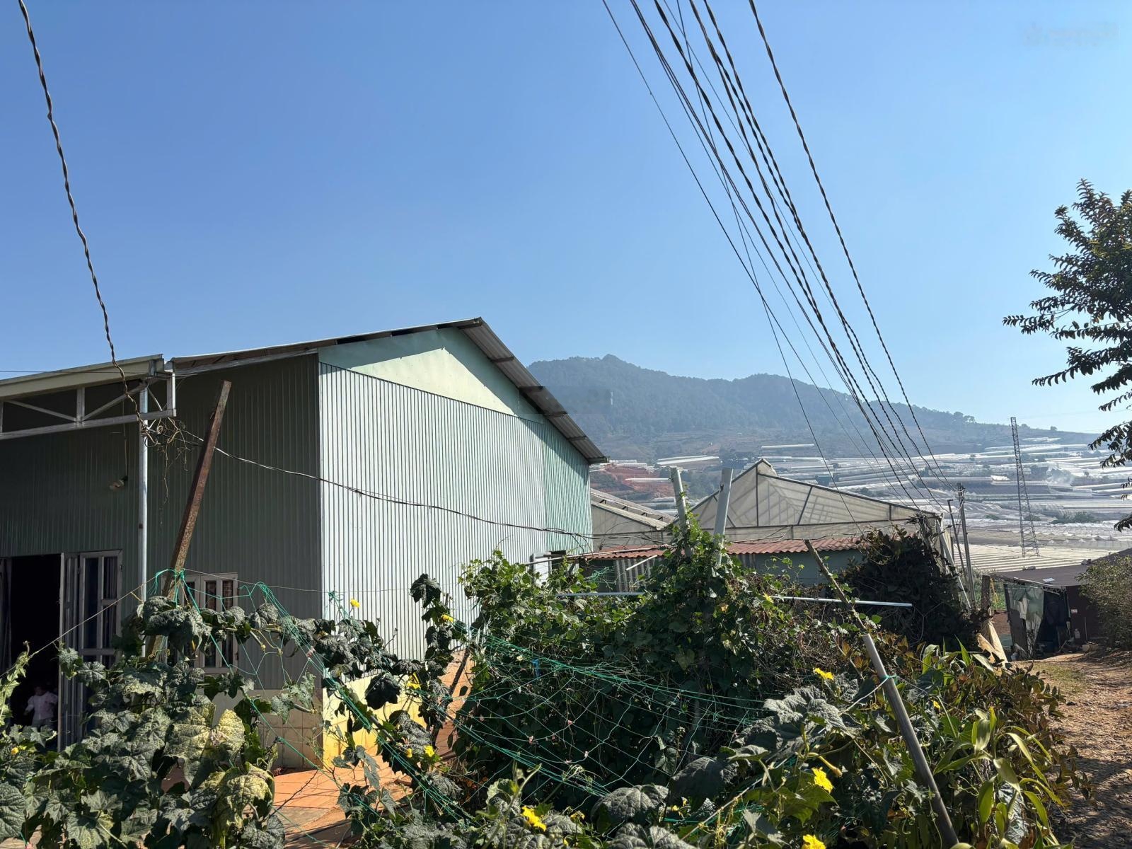 Bán đất xây dựng + nhà tại đà lạt 300 m giá 4 tỷ