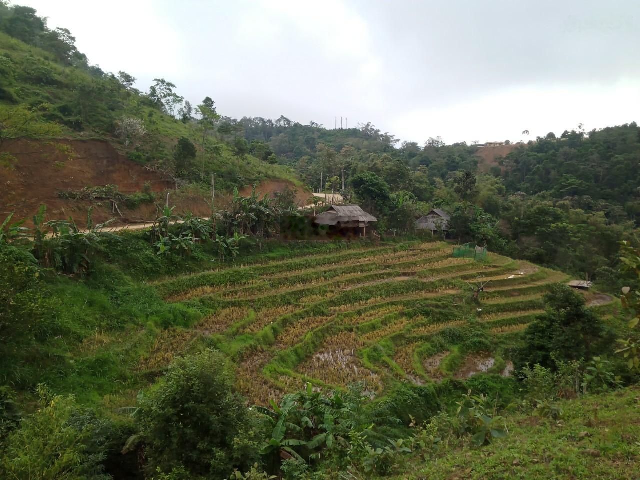 Cơ hội vàng đầu tư đất nghỉ dưỡng tại xóm Mừng, Cao Phong - Hòa Bình