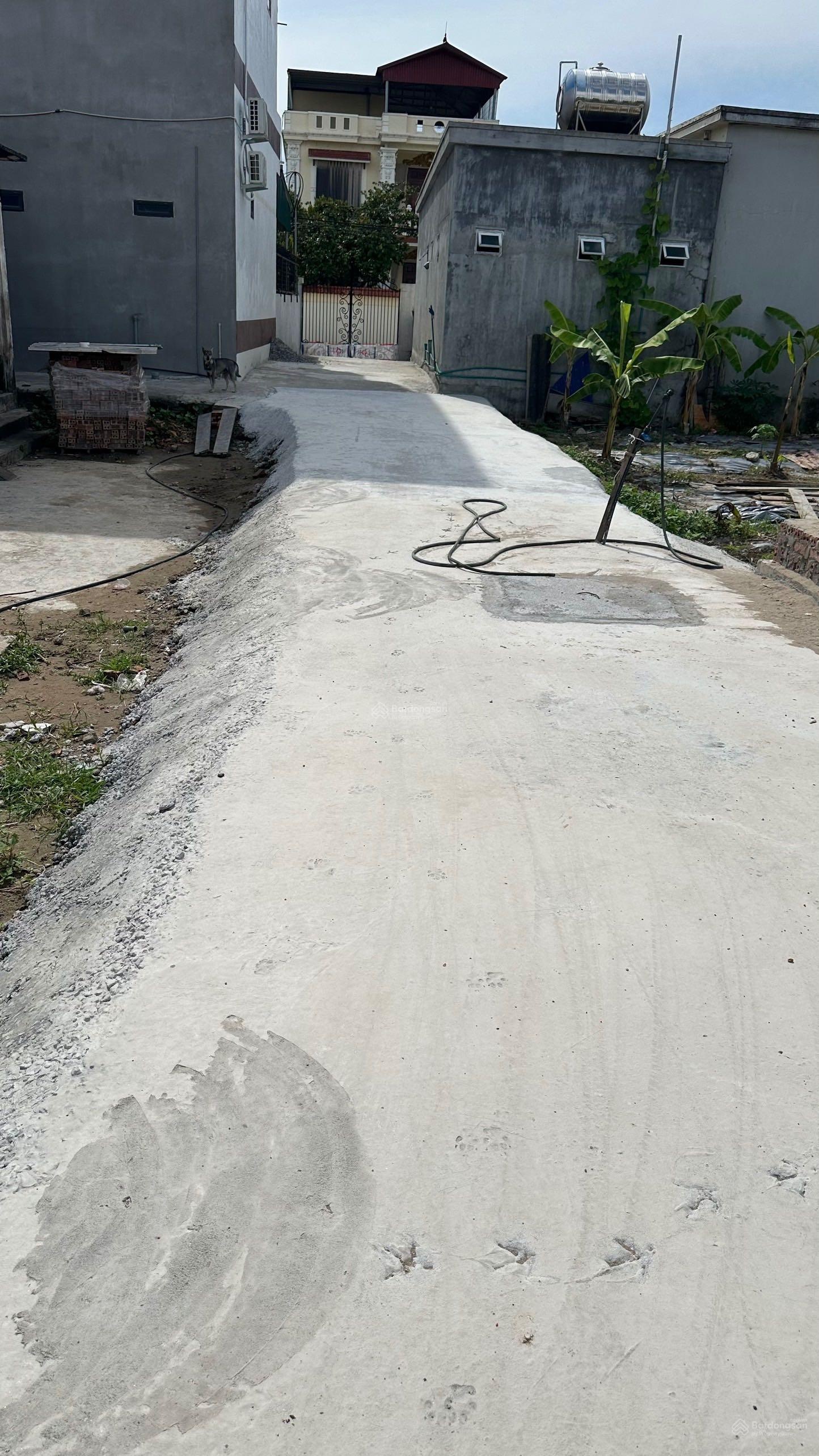 Chính chủ gửi bán lô đất 245m2 thôn Ngọ Dương, An Dương, Hải Phòng