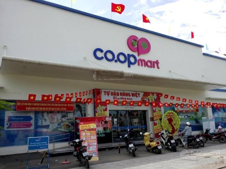 Bán 800m2 đất mặt tiền Quốc lộ 50, thị trấn Cần Giuộc, Long An, gần vòng xoay 5 con rồng