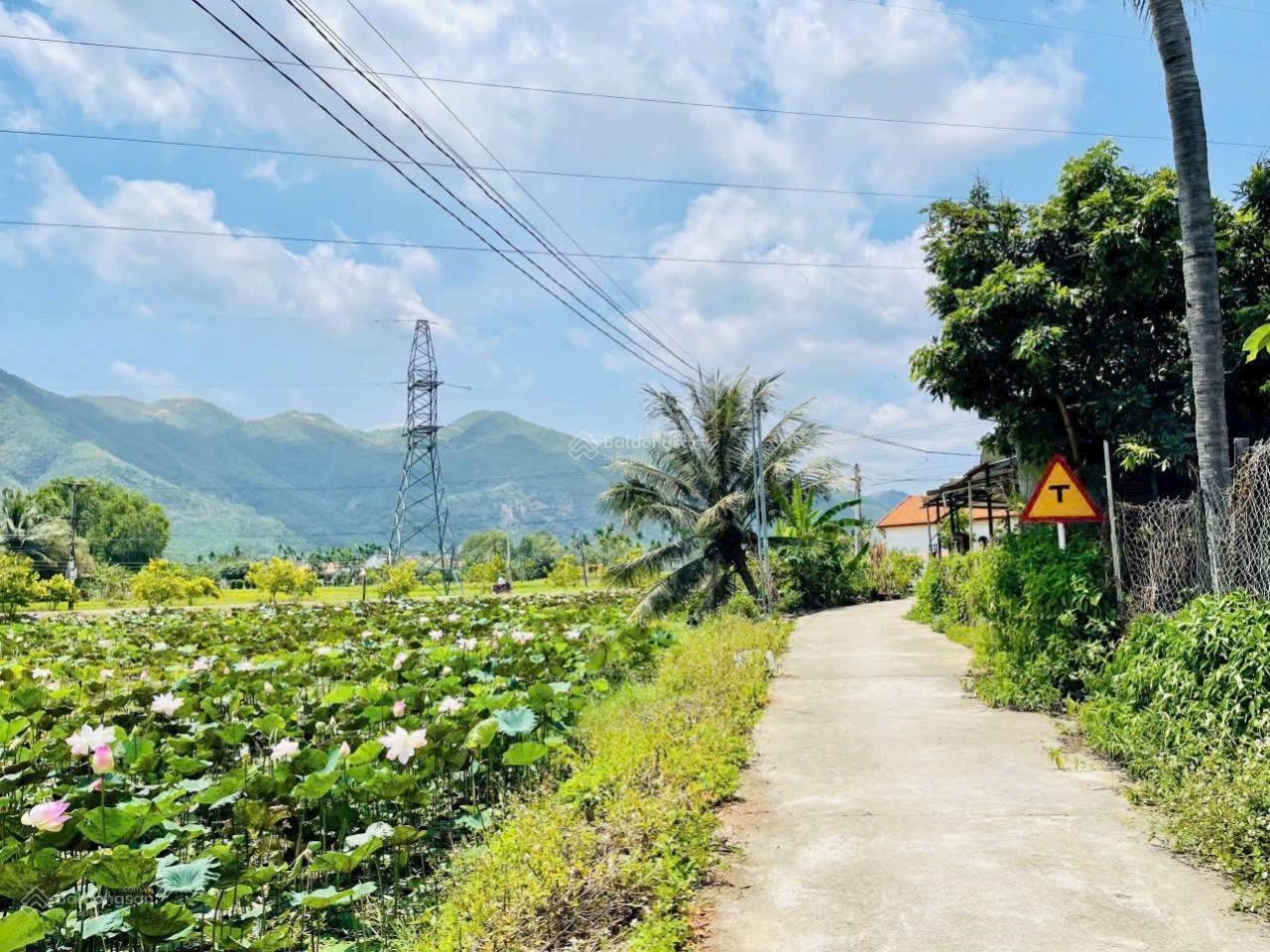 Bán nhanh lô Diên An (xã Diên Khánh) đường ô tô thông 1 tỷ 120