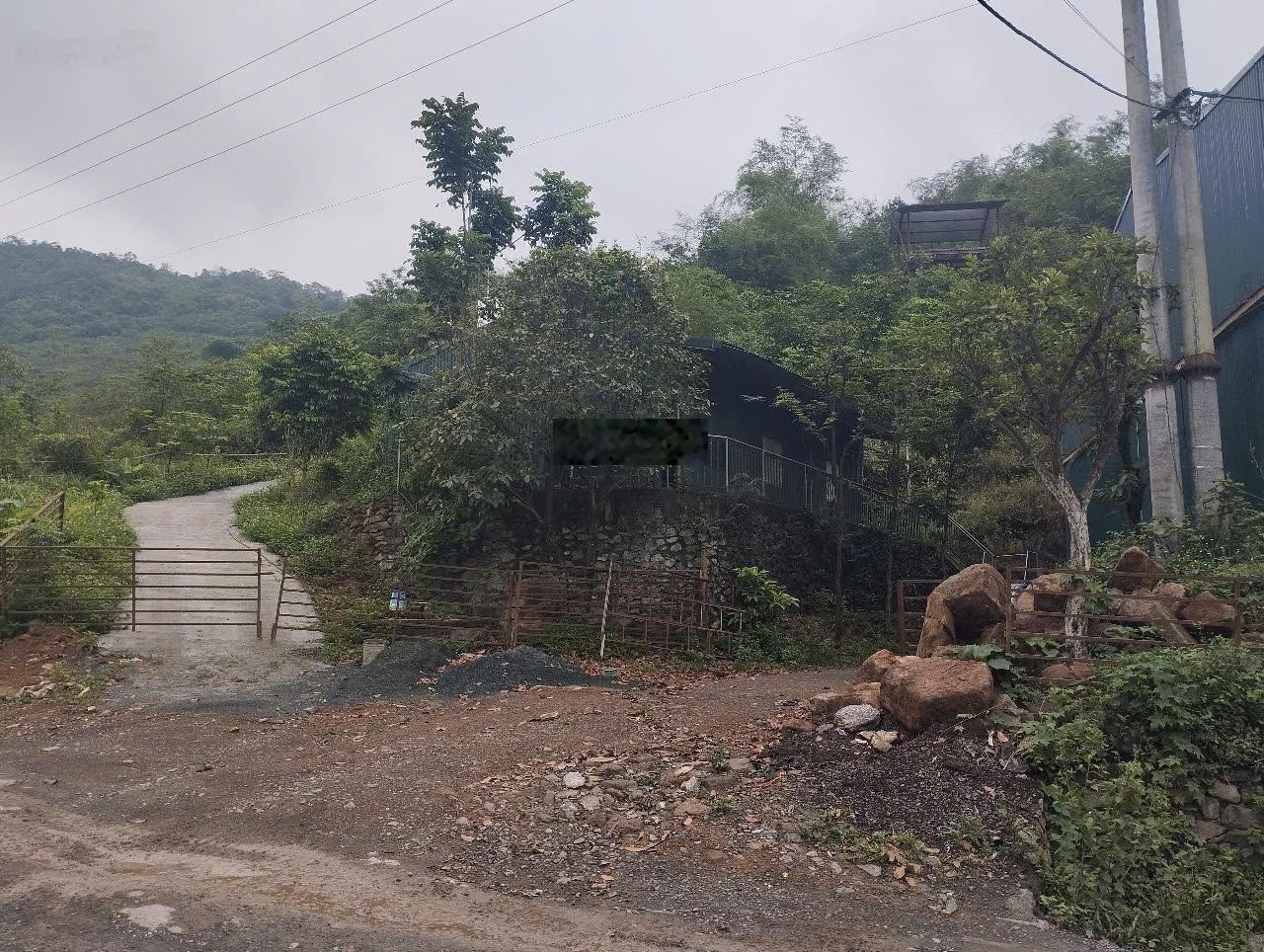 Cho thuê xưởng diện tích 1000m2 (xưởng 700m2, văn phòng 80m2) 25tr/th tại xã Hoà Sơn, Lương Sơn