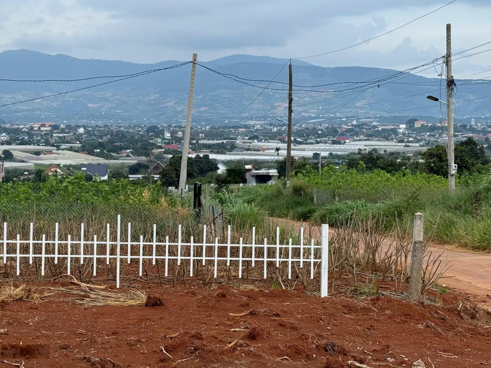 Đất ven Đà Lạt giá chỉ 980 triệu, cách DT725 chỉ 2km, view toàn cảnh