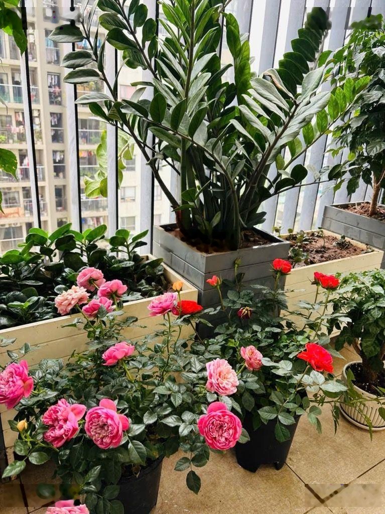 Bán căn hộ 3pn, dt 96m2, chung cư báo nhân dân, đường trịnh văn bô, nhà đẹp ở luôn