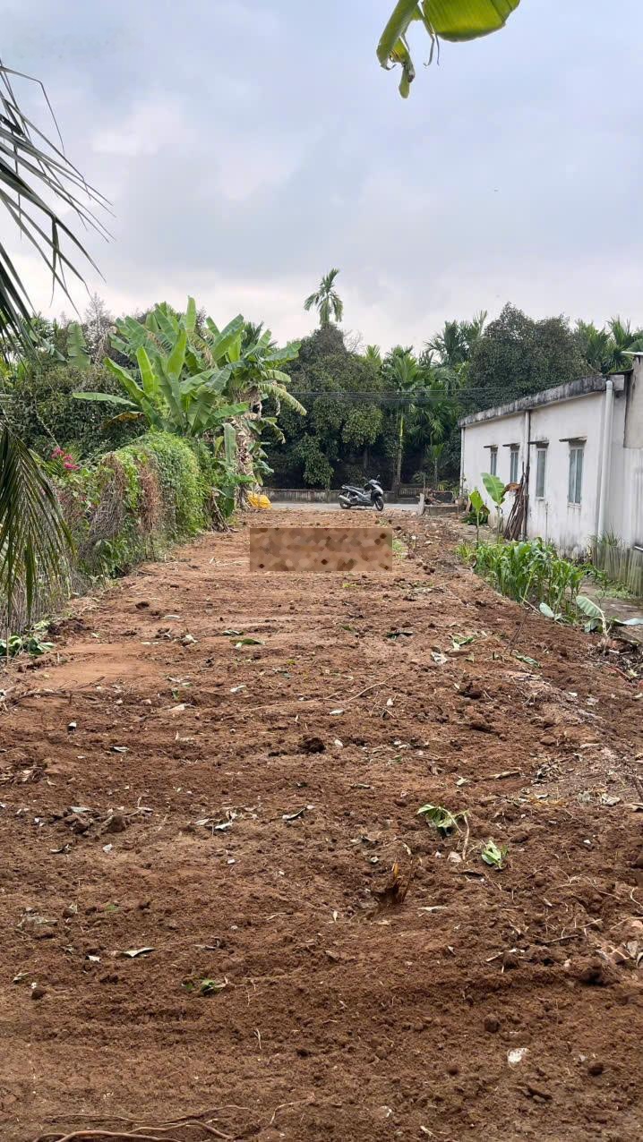 Đất thổ cư Tương Bình Hiệp; DT 5x28.5m, đường nhựa, xây nhà lầu; SHR giá cực mềm chỉ 2.35 tỷ