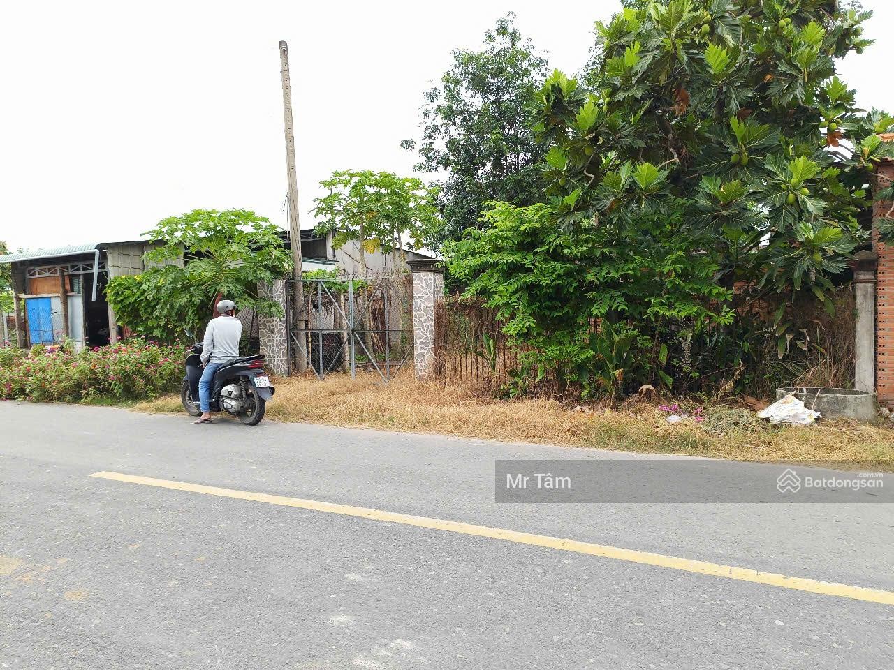 Giảm giá sập sàn! Bán lô đất MT đường An Nhơn Tây, diện tích 1034m2 có 200m2 thổ cư, xã An Nhơn Tây