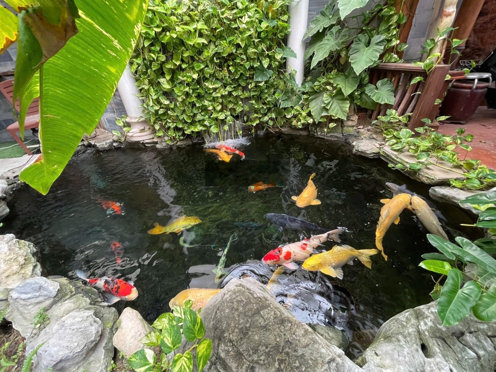 Biệt thự gỗ Cẩm Lai Nam Phi giá trị độc bản tại Đà Nẵng