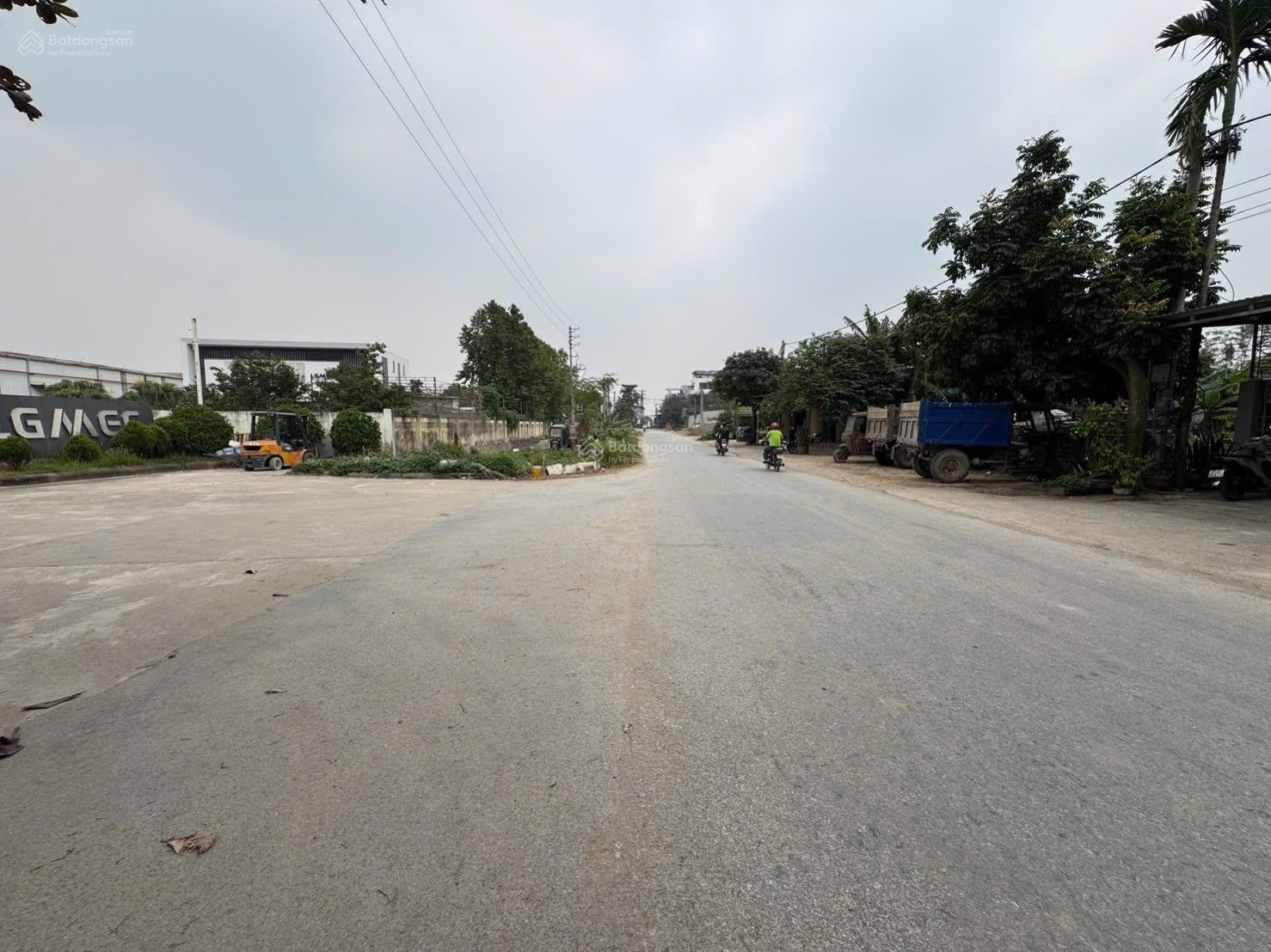 Em nguyện dùng cả thanh xuân để bán đất cho chủ đất ạ