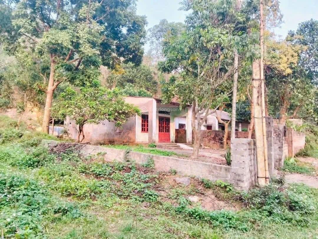 Bán đất tặng kèm nhà! Chính chủ lô đất 625 m2 tại Tân Vinh Lương Sơn HB giá rẻ