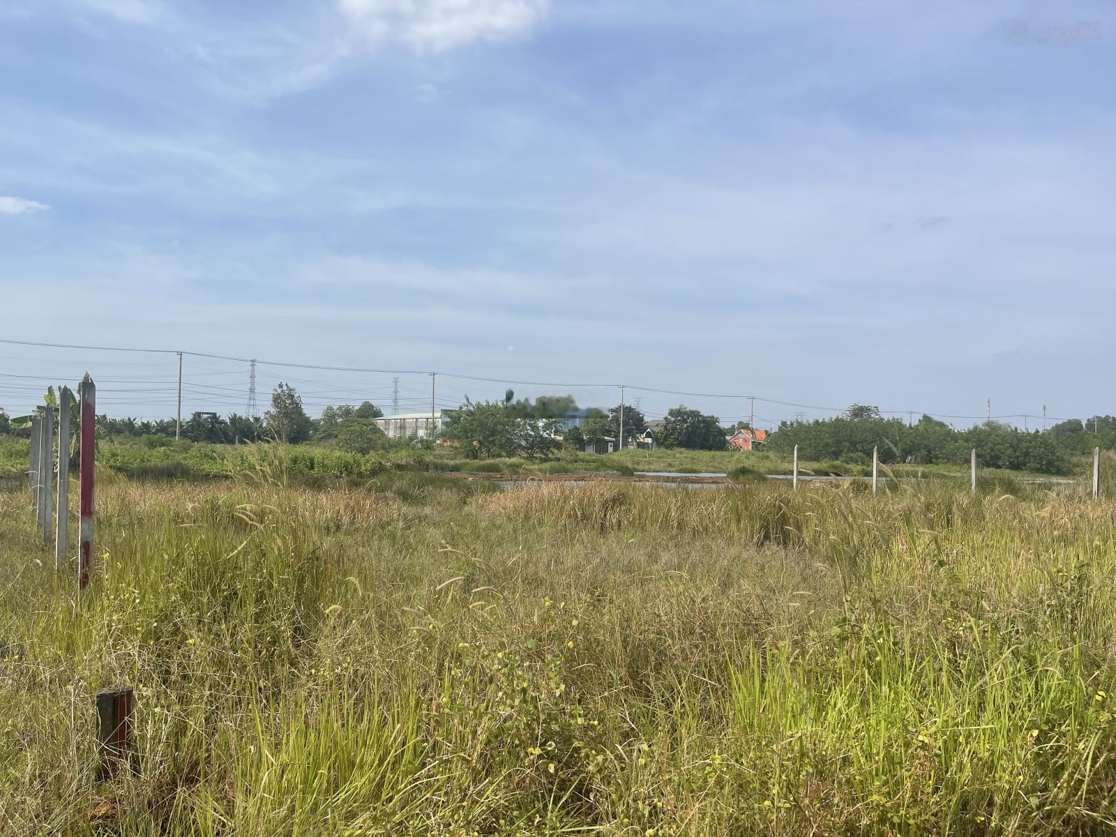 Đất vườn chính chủ sổ riêng 21x24 m phù hợp làm nhà vườn