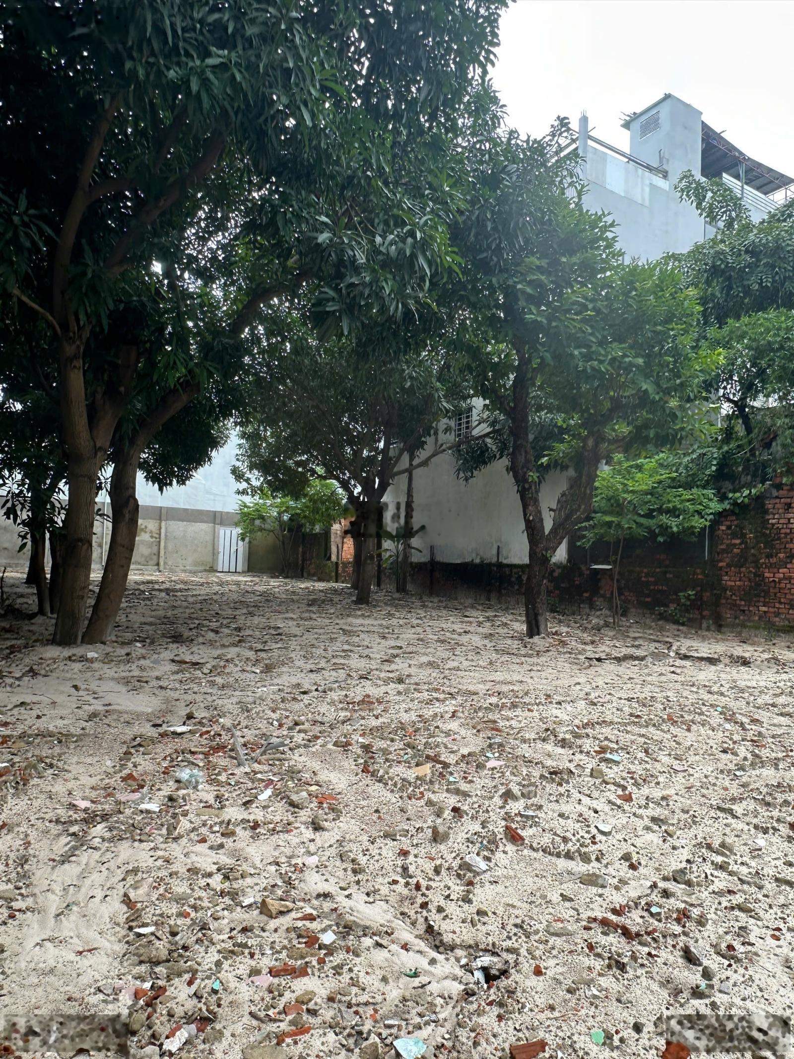 Đất vàng sơn trà nở hậu - số nhà cực phẩm - tựa sơn hướng hải