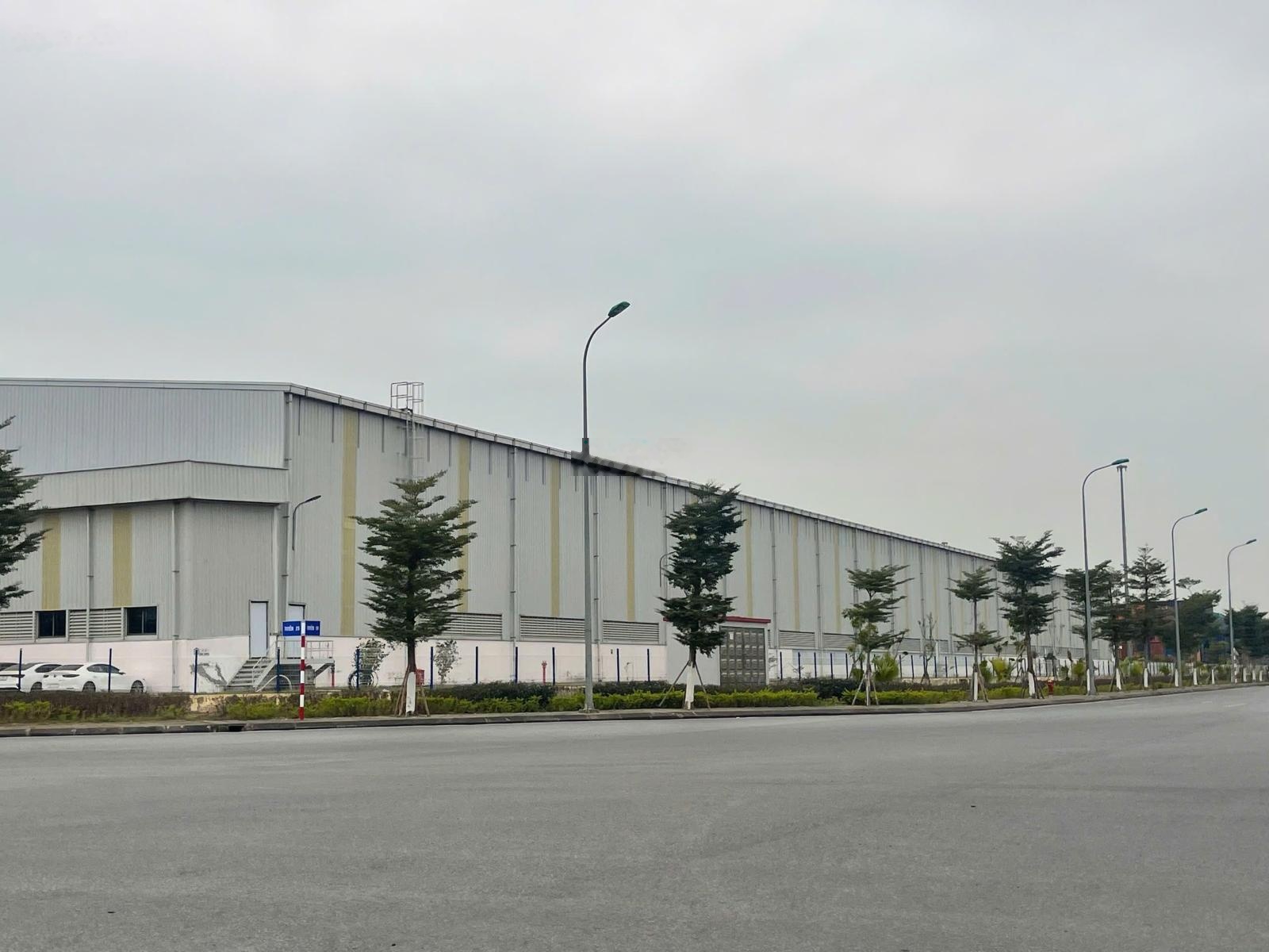 Cho thuê 540, 1000...2000..1ha kho nhà xưởng nhà máy Thường Tín, Quất Động, Thượng Phúc Thắng lợi