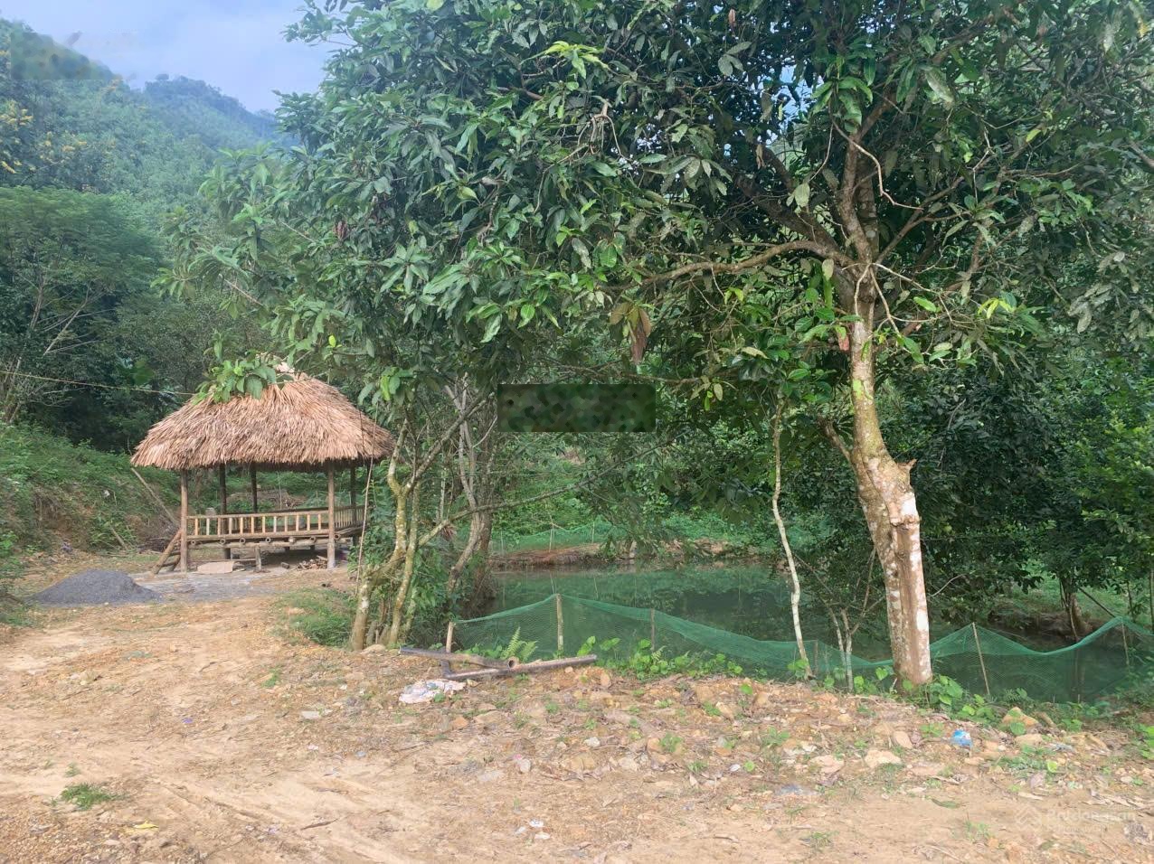 Chuyển nhượng 50 ha mặt đường nhựa hòa bình