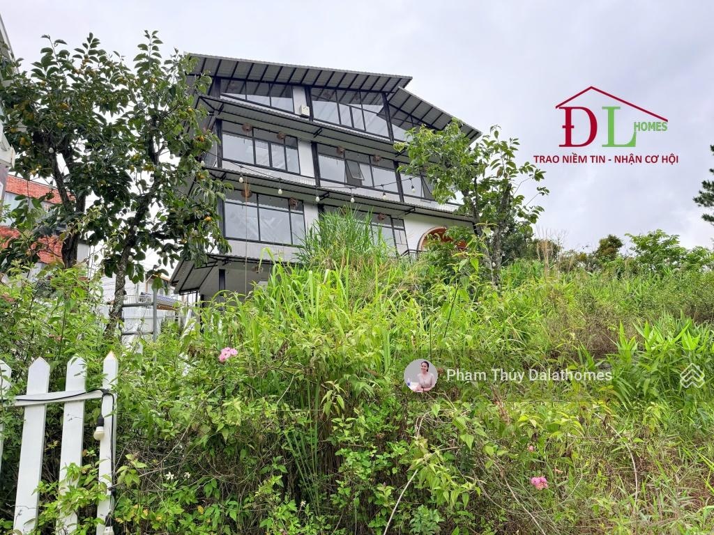 khu đất view trực diện thông nguyên sinh Đà Lạt, 5013m2 đường Hoàng Hoa Thám