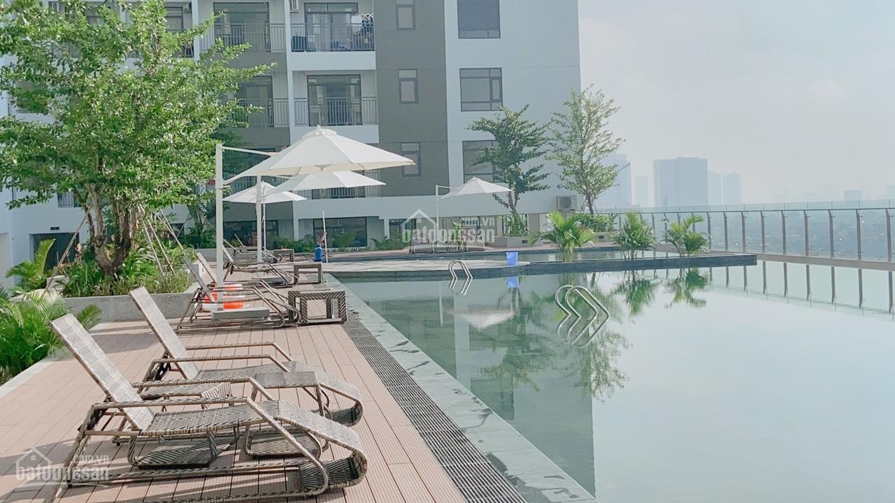 Cần cho thuê căn hộ Central Premium off 854 Tạ Quang Bửu, P Chánh Hưng, TPHCM DT32m2, có nội thất