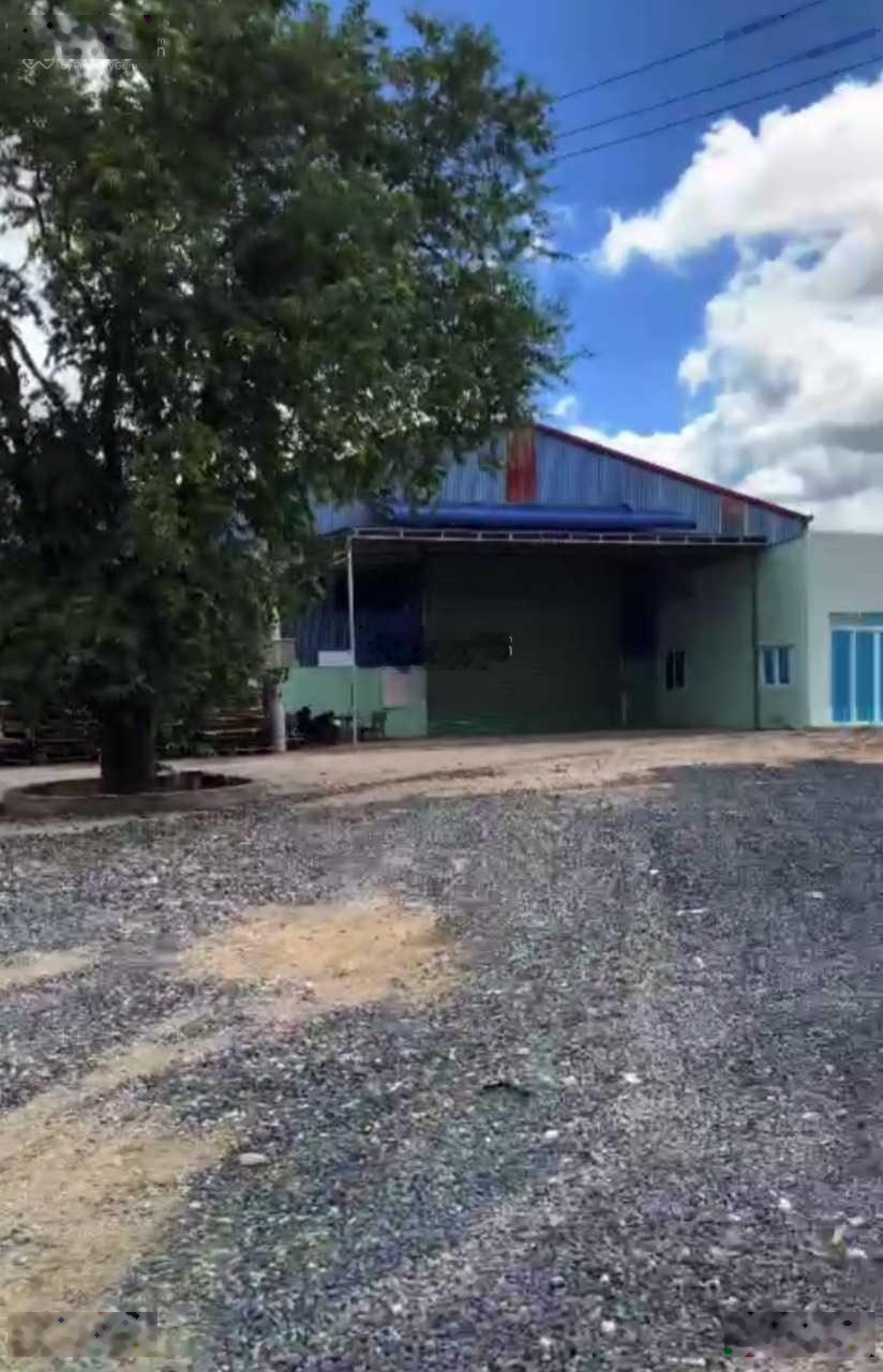 Bán đất có xưởng 3000m2, 600m2 TC mặt tiền Phú Mỹ Tóc Tiên. LH Tài 0707004268