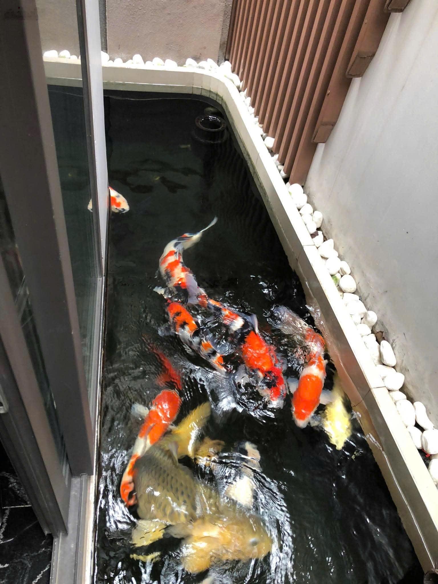 Bán căn biệt thự cao cấp tâm huyết trung tâm Trường Thọ ngay khu đô thị thông minh Cảng Trường Thọ