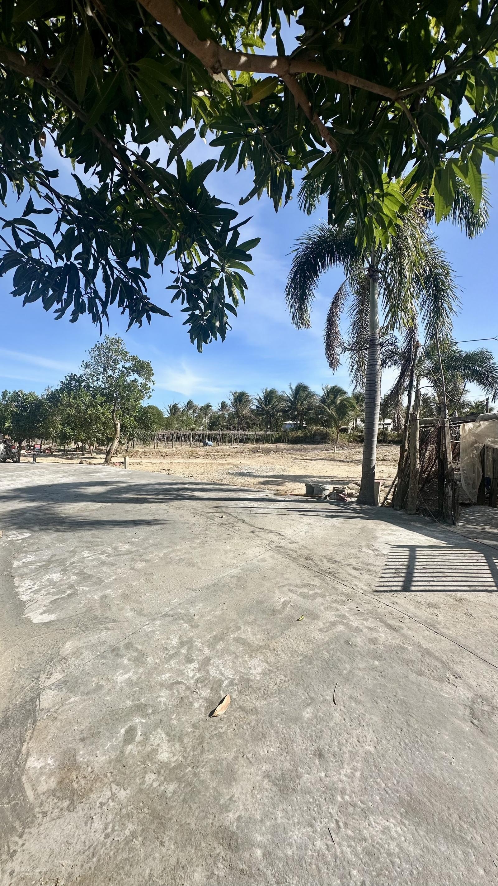 Còn duy nhất lô đất nông nghiệp mặt đường bê tông vị trí trung tâm thành phố