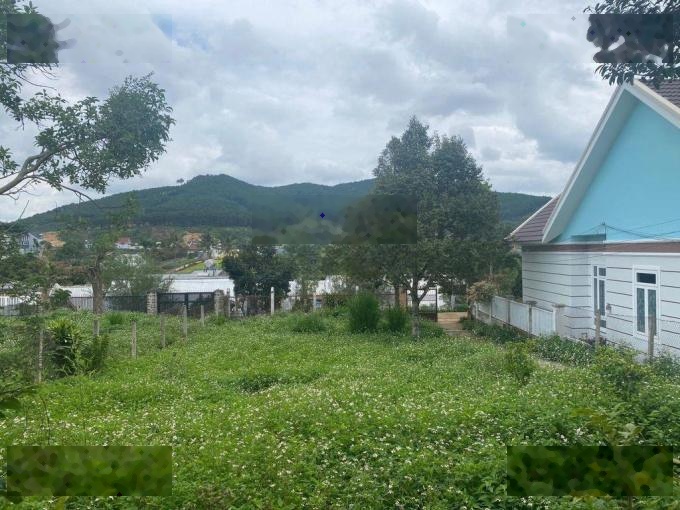 Cần bán lỗ gấp lô đất 16,6x70m, 1154m2 giá 3 tỷ gần SB Liên Khương