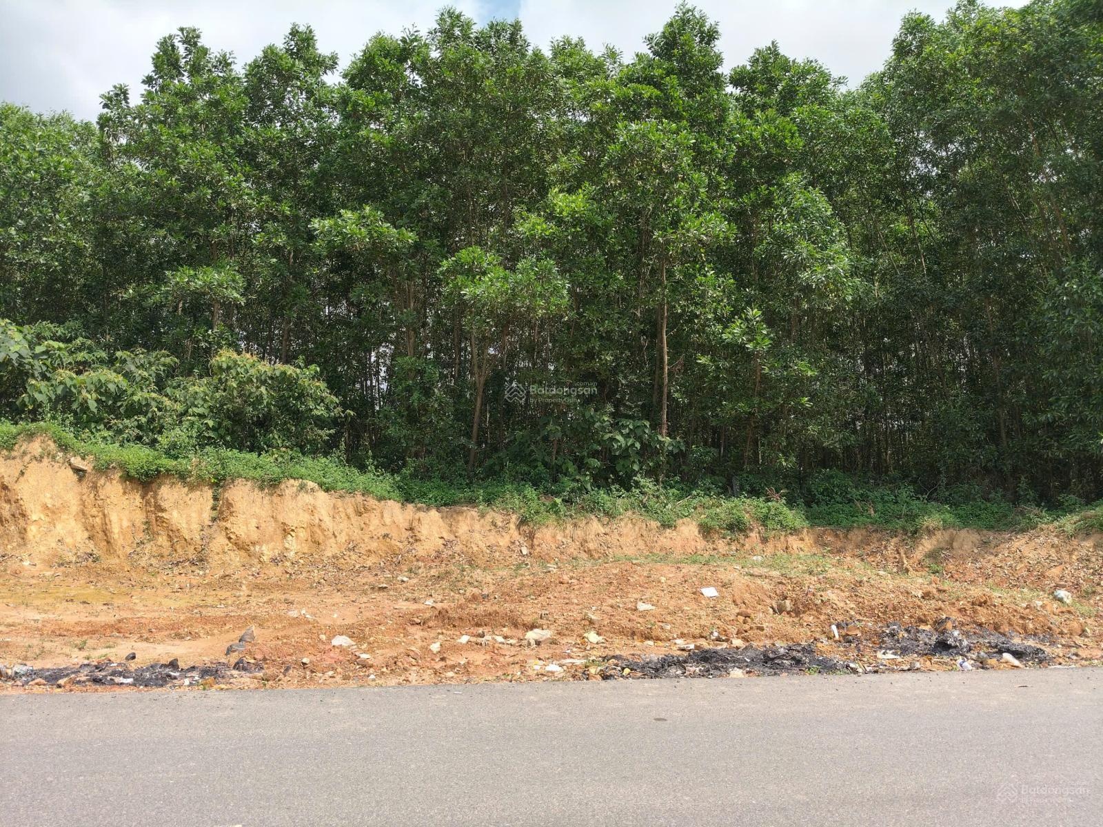 Bán gấp 6000m2. Ngang 100m mặt tiền. Đất CLN sổ riêng tại Đà Nẵng