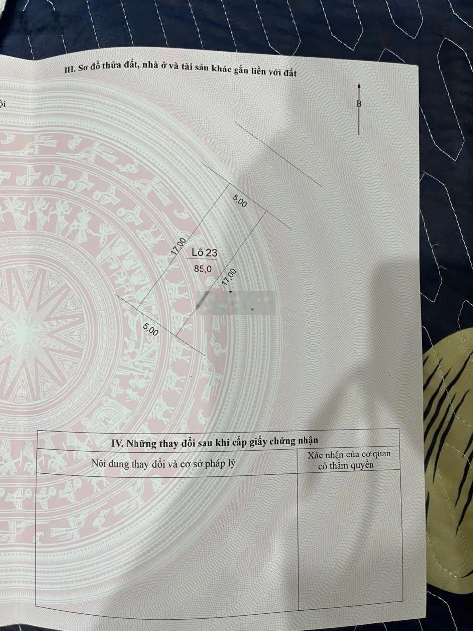 Bán đất đấu giá X1 Yên Vinh 85m2 MT 5m giá 8x triệu/m2. Vị trí đẹp gần các siêu dự án lơn