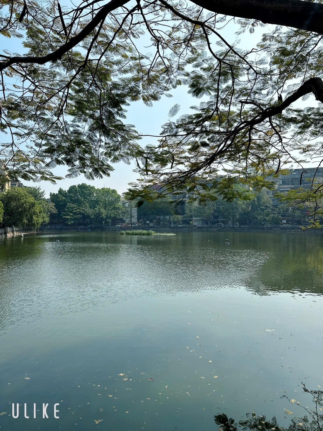 View vườn hoa + hồ Đền Lừ - 2 vỉa hè - kd ngày đêm