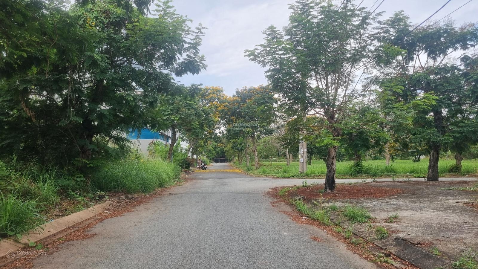 Đất Biệt Thự 500m (14m*25m) Nở Hậu 20m "Đại Cát" - Cực phẩm khó tìm ngay chợ Bình Chánh