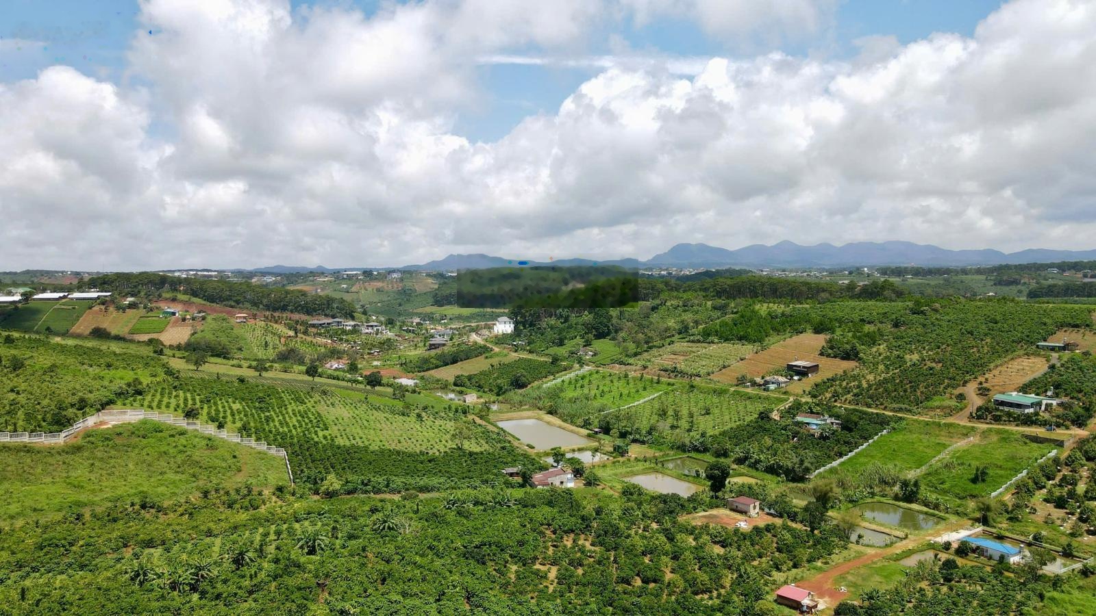 893,5m2 đất thổ cư, mặt đường lớn, view rừng thông, sát TT TP Bảo Lộc