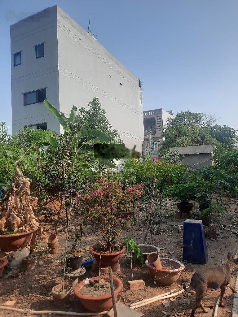 BÁN ĐẤT THỔ CƯ 100% HẺM LỚN 480m2 (22x40)- chỉ 23 tỷ sổ hồng riêng- Hiệp bình phước - Tđ