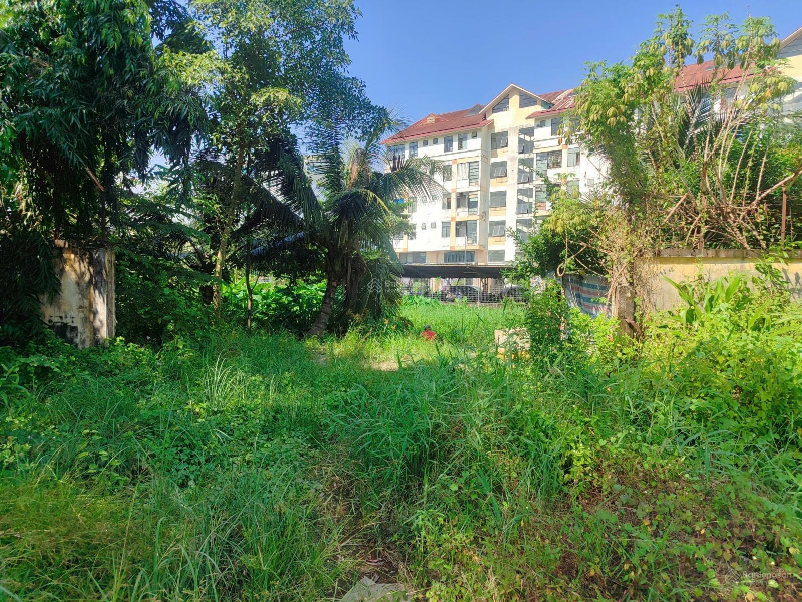 3.000m mặt tiền nguyễn văn quỳ sẵn sàn bê tông làm f&b đỉnh