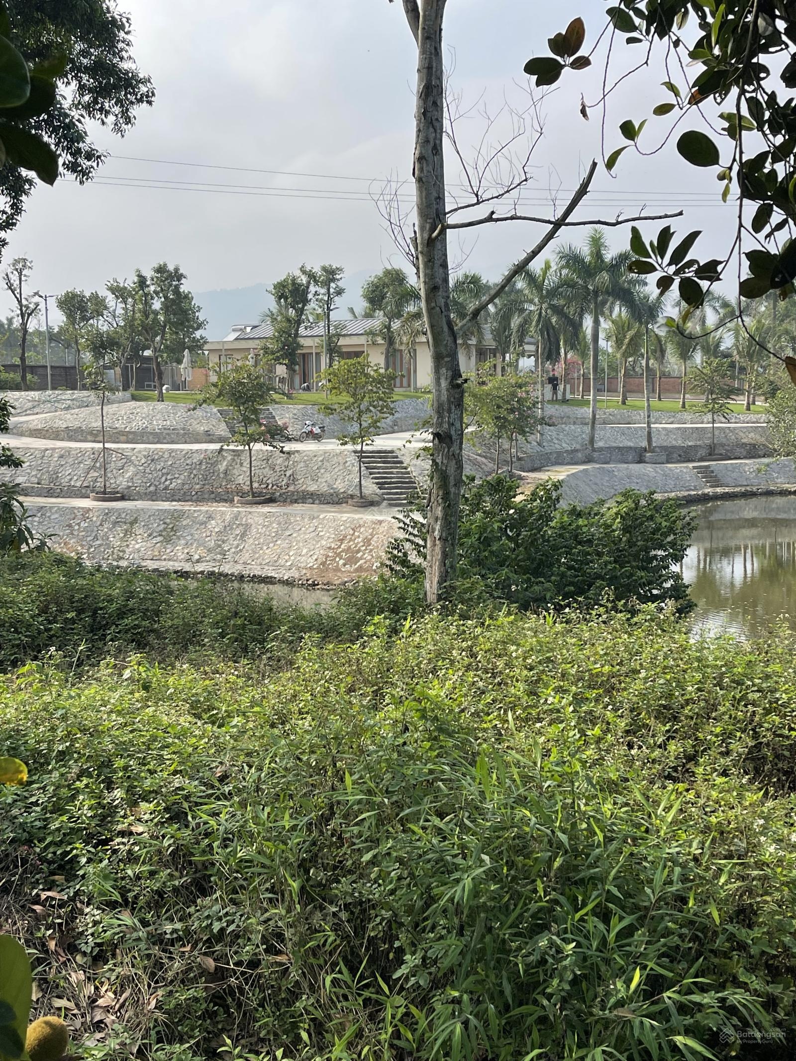 Cần bán 650 m đất nghỉ dưỡng cực đẹp viu suối tại khu chiến thắng xuân mai hà nội