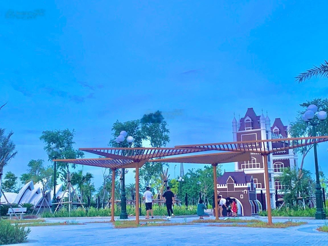 ảnh