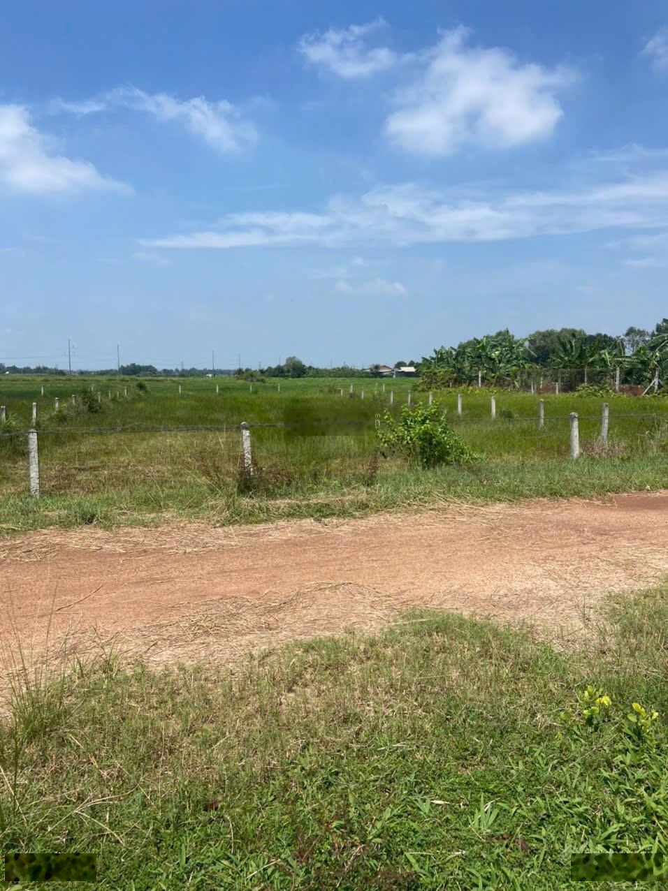 Bán đất ngộp (610m2) tại 1/ Nguyễn Thị My, Củ Chi, giá 1,65 tỷ VND