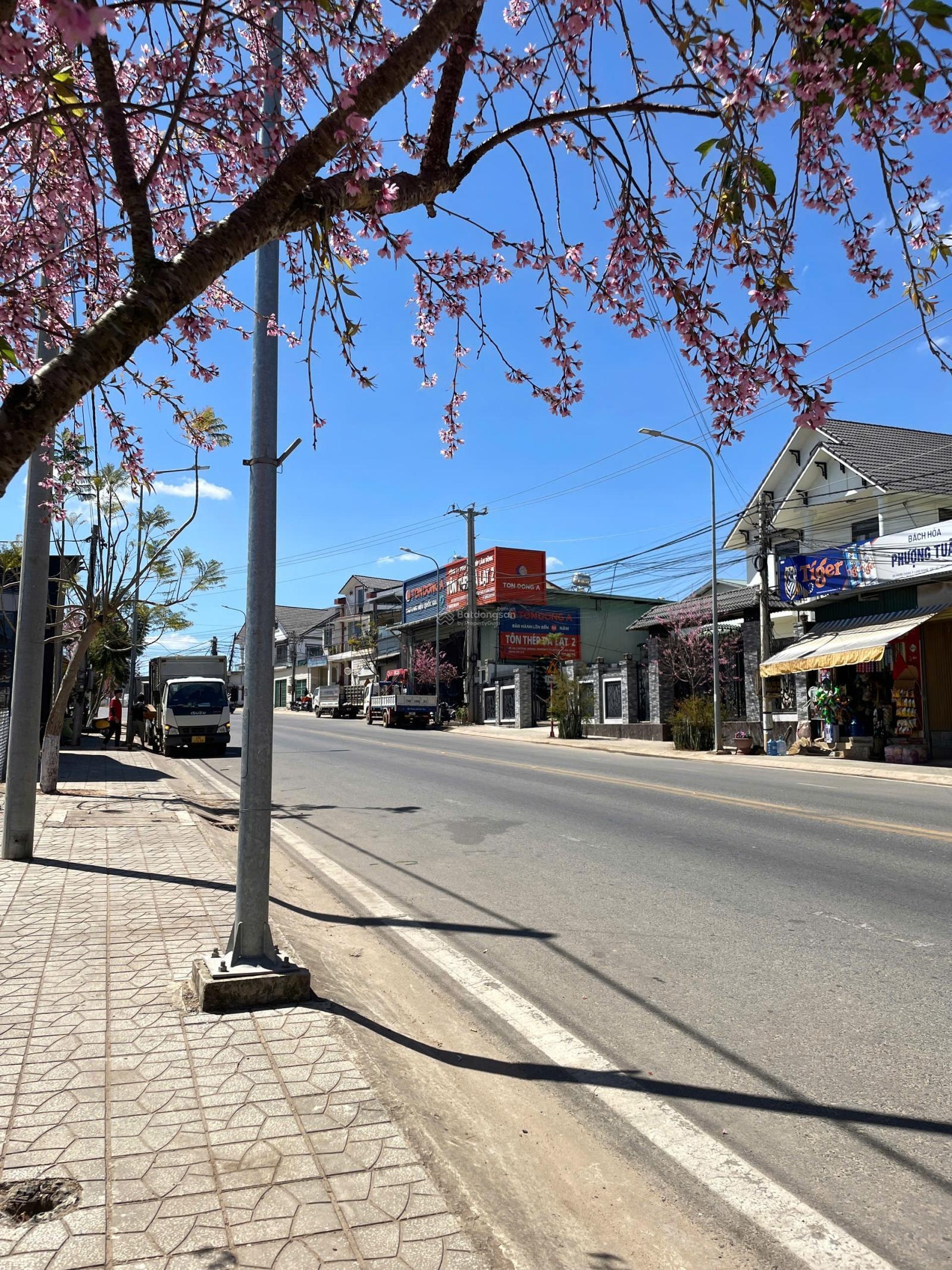 Đất mặt tiền phường 7 Đà Lạt, Sổ riêng 383m2 - 18,9 tỷ