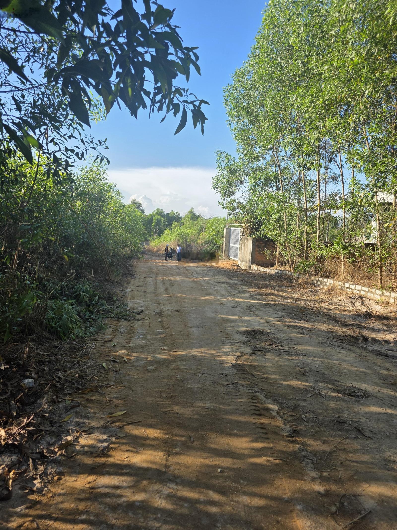 Bán gấp lô đất 600m (10x60) chỉ 1,6 tỷ tân an, lagi bình thuận (nay thuộc lâm đồng)